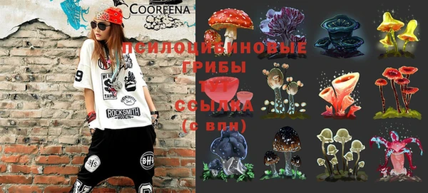 спайс Аркадак