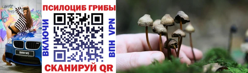 Псилоцибиновые грибы MAGIC MUSHROOMS  Зуевка 